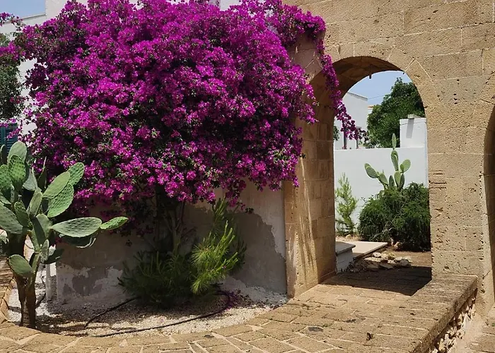 فندق Masseria Solemare 3*